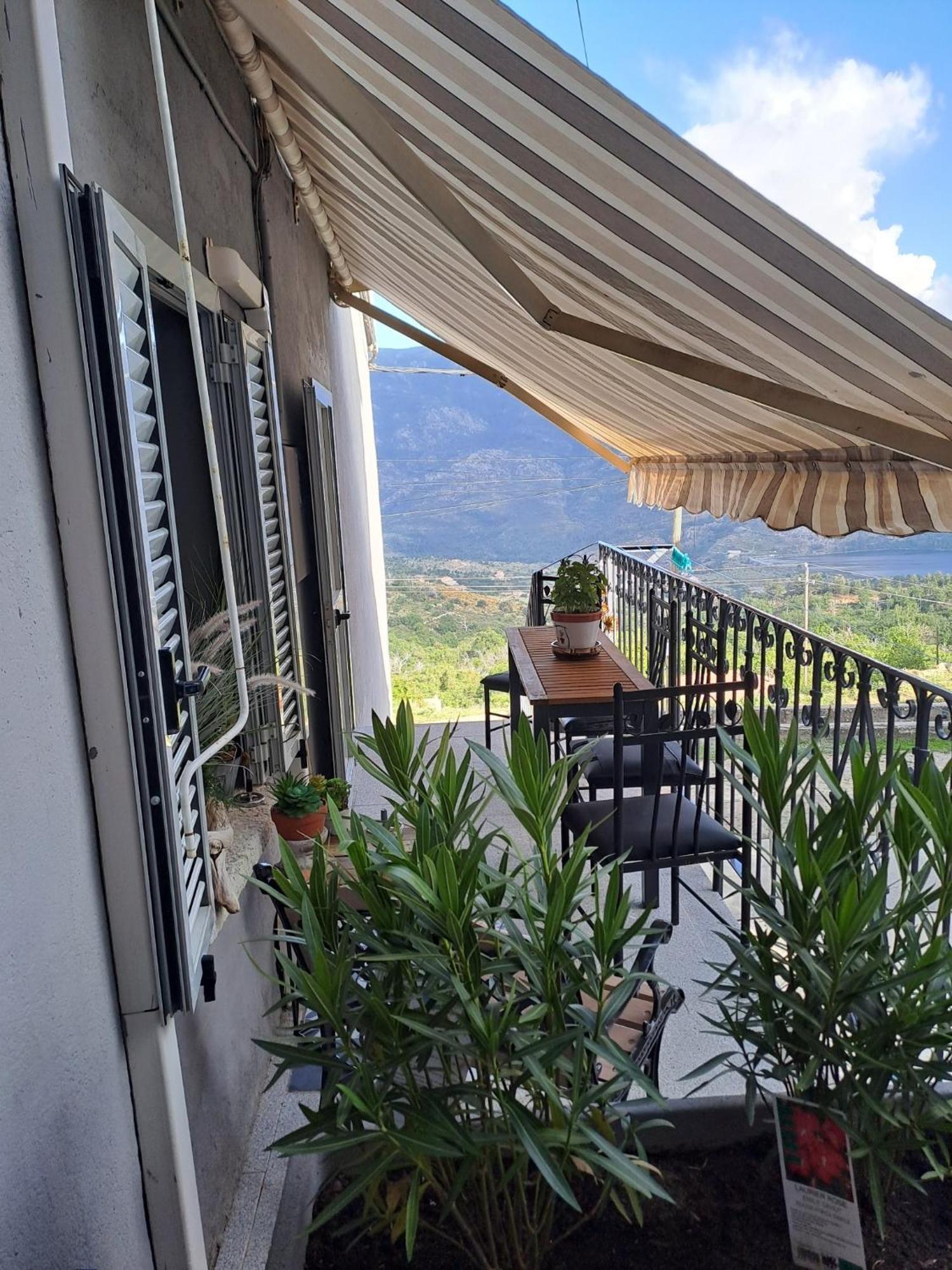 Апартаменты Location En Corse Au Pied Du Monte Cintu Lozzi Экстерьер фото
